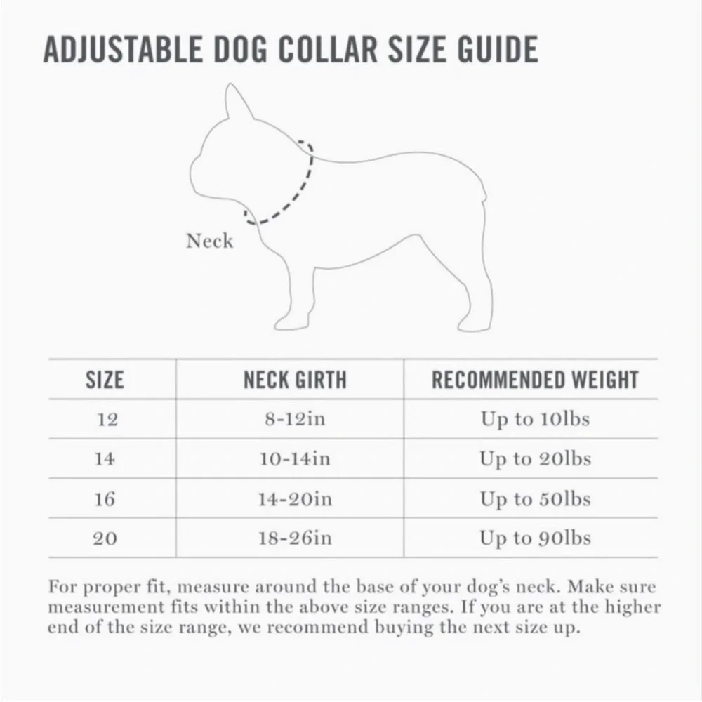 NWT Martha Stewart Adjustable Nylon Dog Collar Gray Various Sizes
